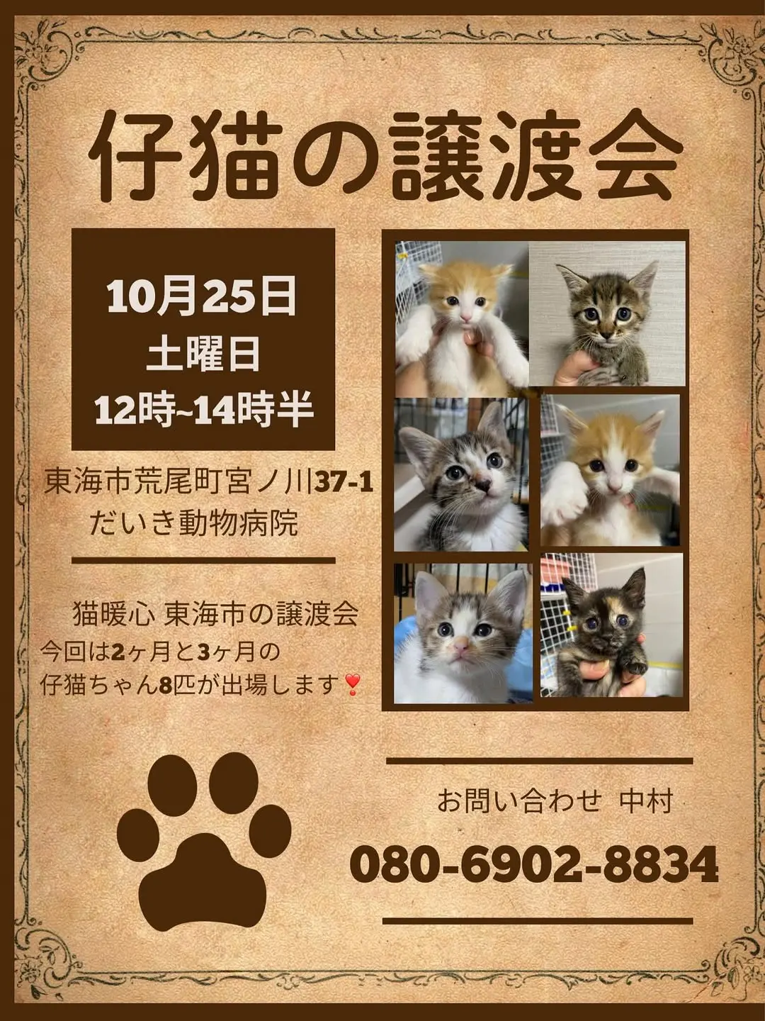 第4回 猫暖心 保護猫譲渡会 in 東海市