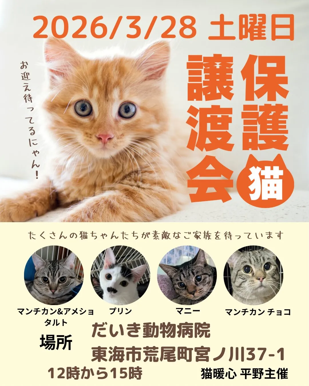 3月28日(土)開催・東海市 第10回 保護猫譲渡会